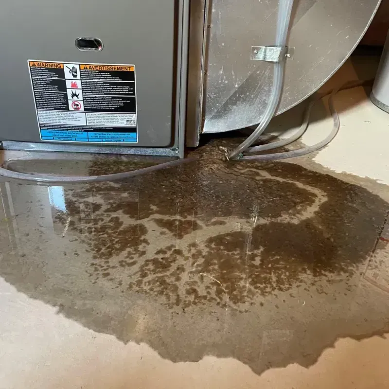 Appliance Leak Cleanup in Fillmore, CA